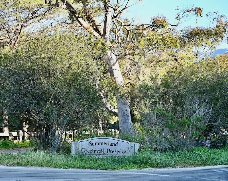 Summerland Greenwell Preserve: Stewardship in Action