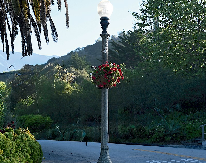 Summerland in Bloom, Year-Round